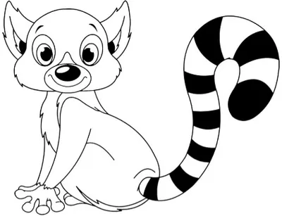 con vượn cáo mỉm cười