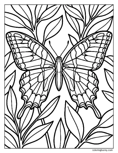 Trang Tô Màu Bướm Eastern Tiger Swallowtail Lá