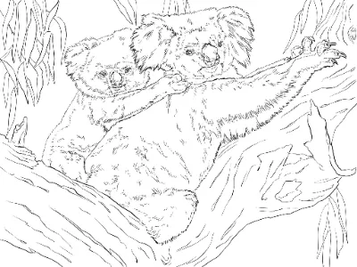 hai mẹ con gấu túi