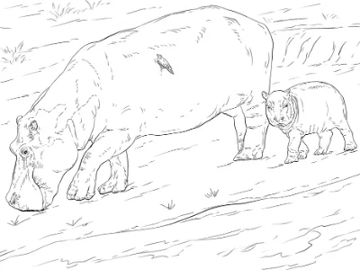 hai mẹ con hà mã