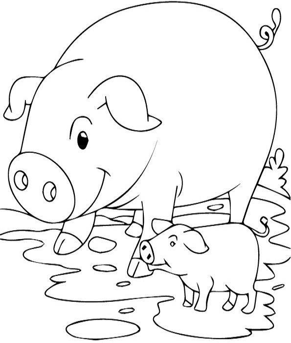 lợn mẹ và lợn con