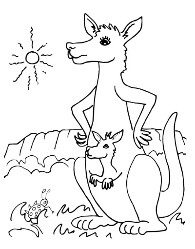 mẹ con chuột túi trên đồi