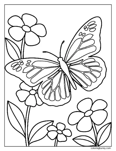 Trang Tô Màu Bướm Monarch Hoa