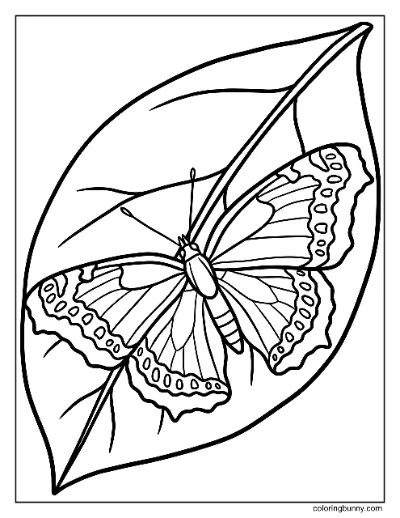 Trang Tô Màu Bướm Mourning Cloak Lá Lớn