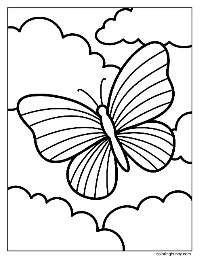 Trang Tô Màu Bướm Cầu Vồng