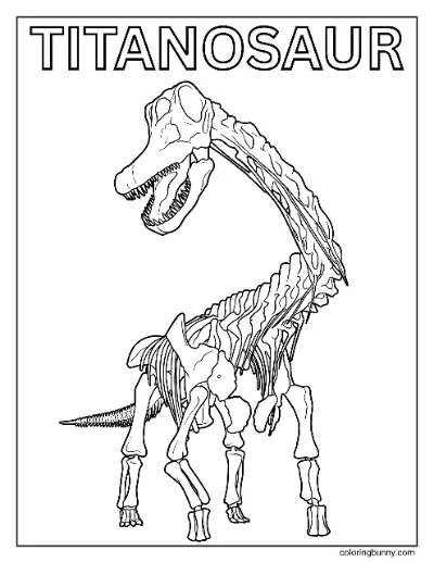 Xương Khủng Long Titanosaur Thực Tế