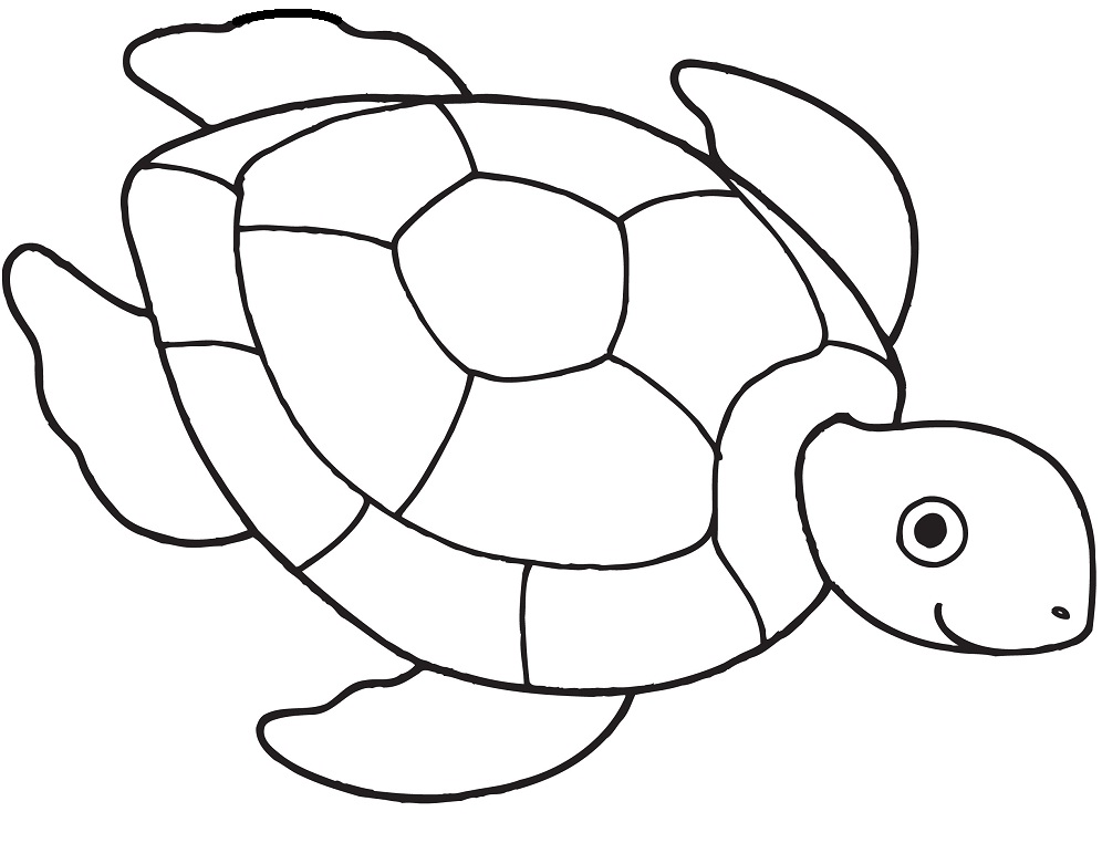 Rùa Biển Đáng Yêu