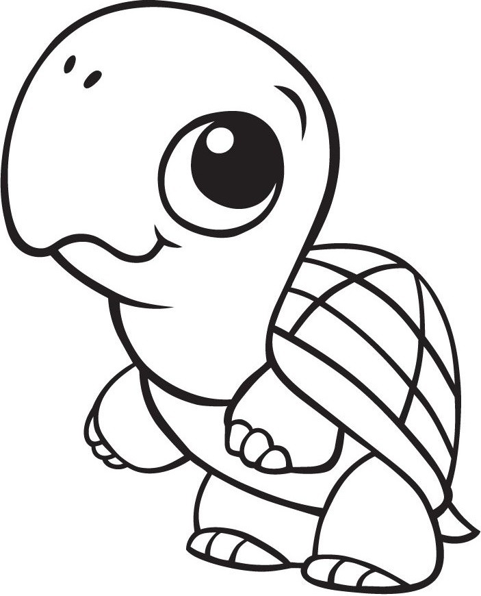 rùa con đáng yêu