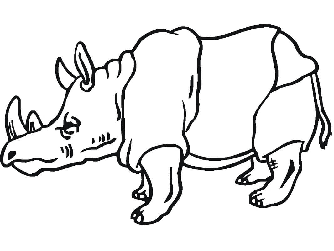 Tê Giác Đang Đứng