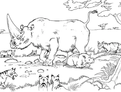 Tê Giác Mẹ Bảo Vệ con