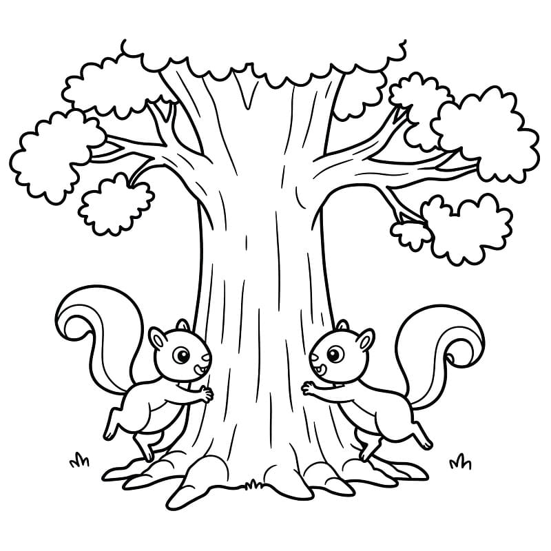 2 Con Sóc Trên Cây