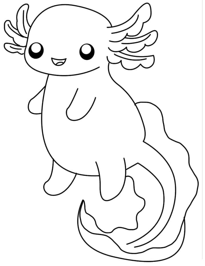 Axolotl Cute Nhất