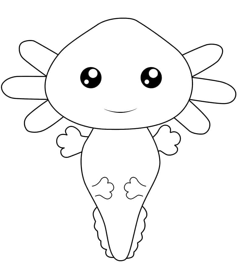 Axolotl Cute