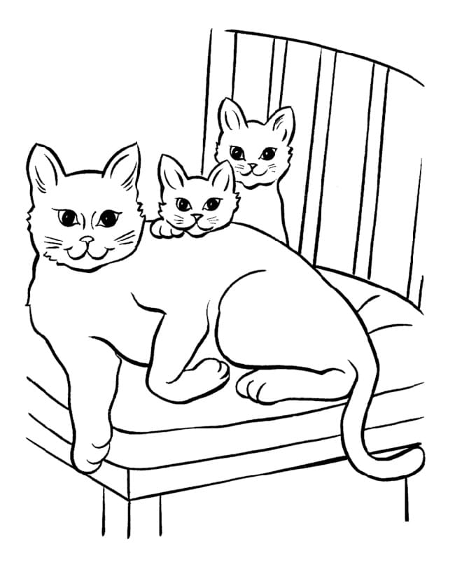 Ba Con Mèo Trên Ghế