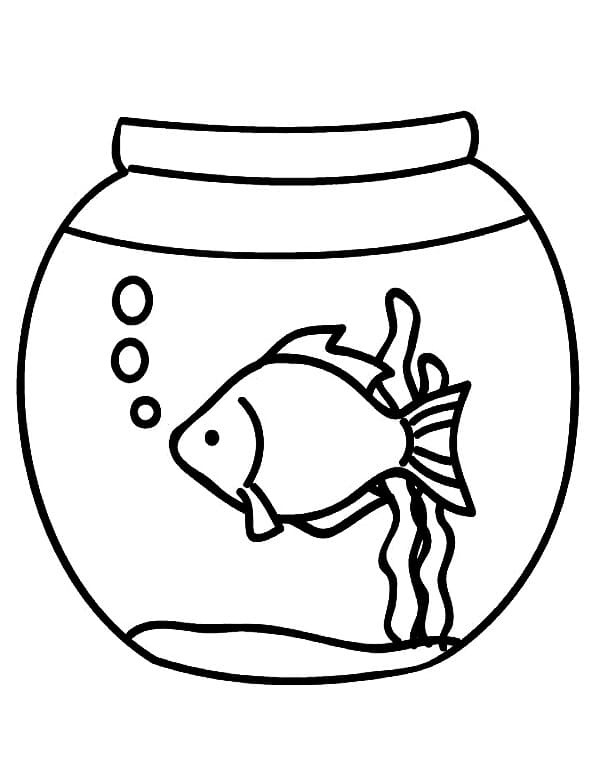 Bể Cá Đơn Giản