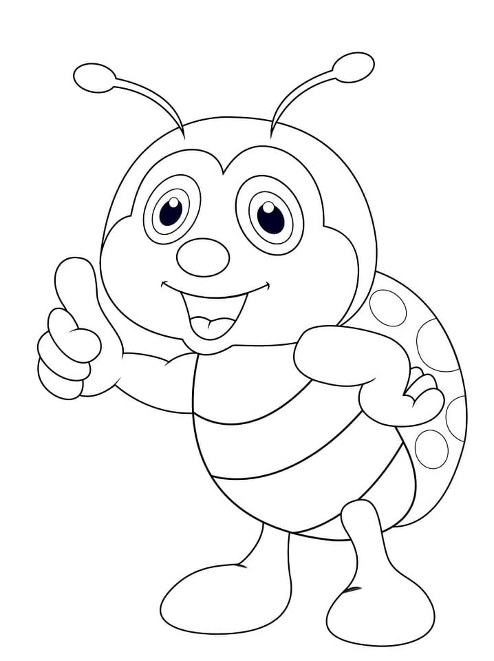 Bọ Cánh Cam Vui Vẻ