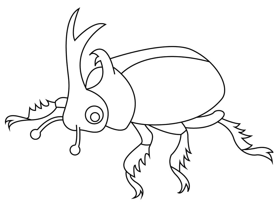 Bọ Cánh Cứng Đáng Yêu