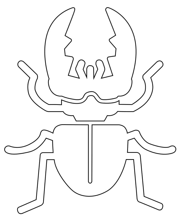 Bọ Cánh Cứng Hai Sừng