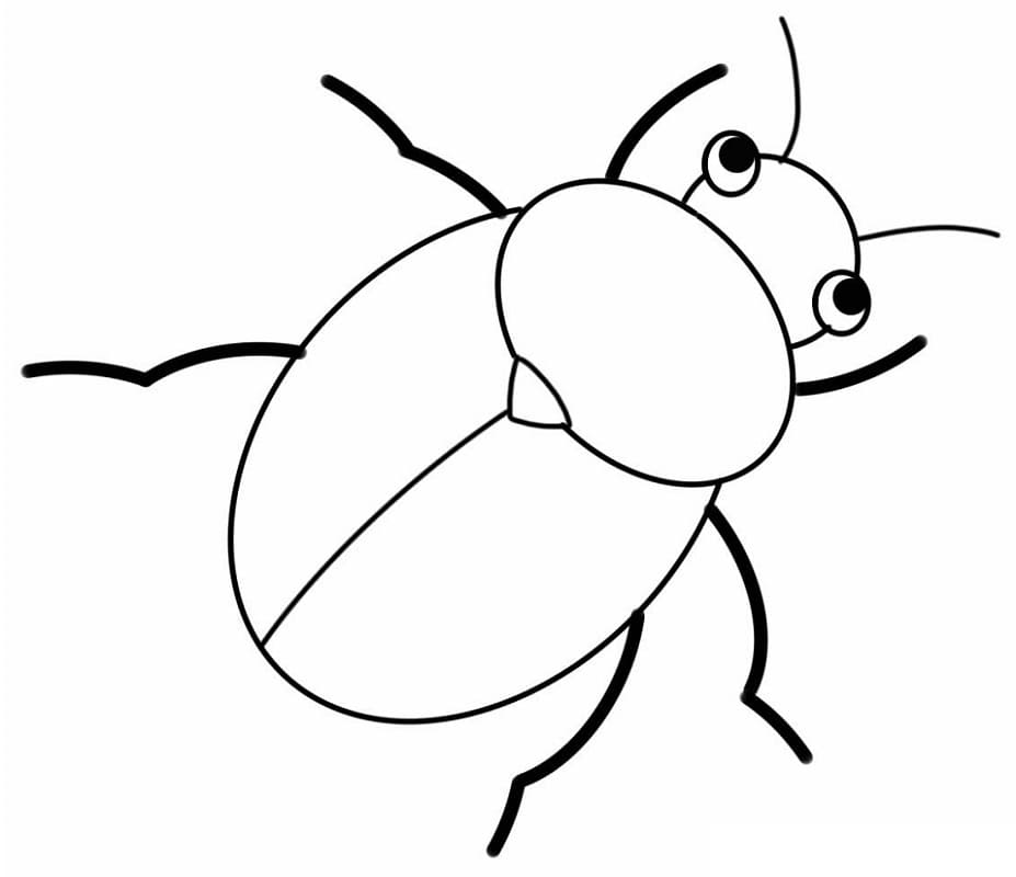 Bọ Cánh Cứng Nhỏ Cute