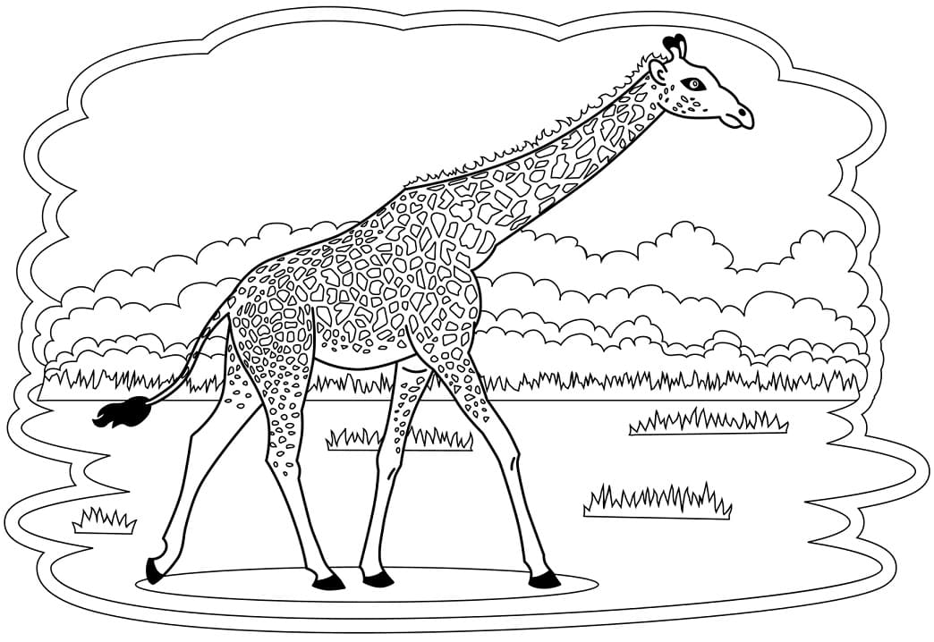 Bức Tranh Hươu Cao Cổ Đẹp