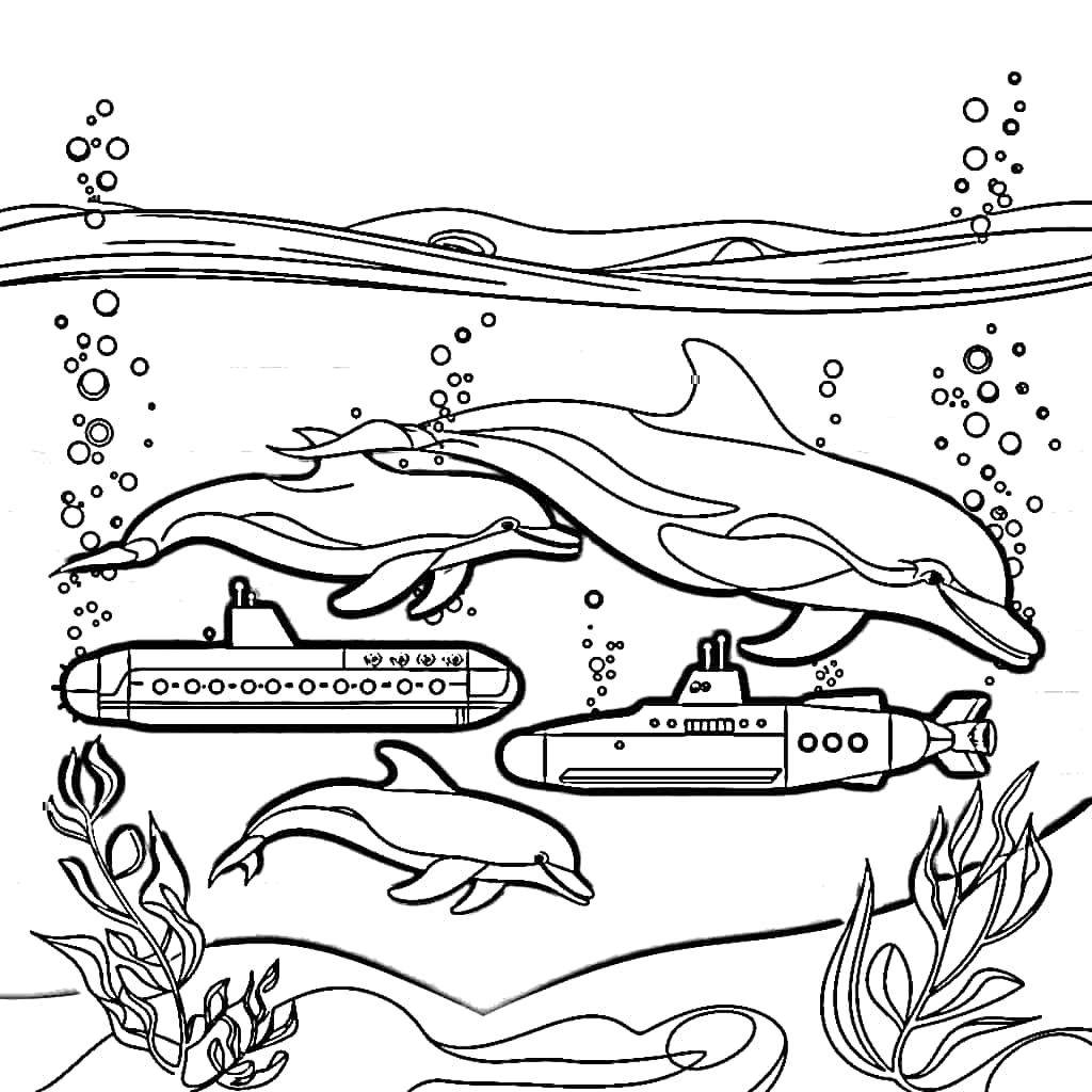 Cá Heo Bơi Với Tàu Ngầm