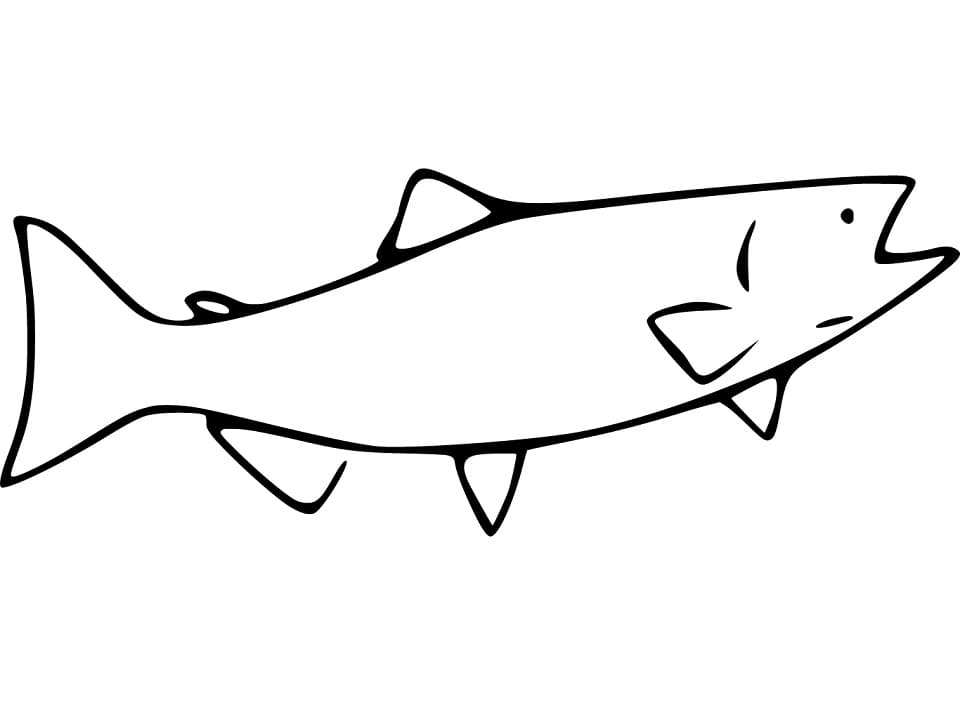 Cá Hồi Rất Đơn Giản