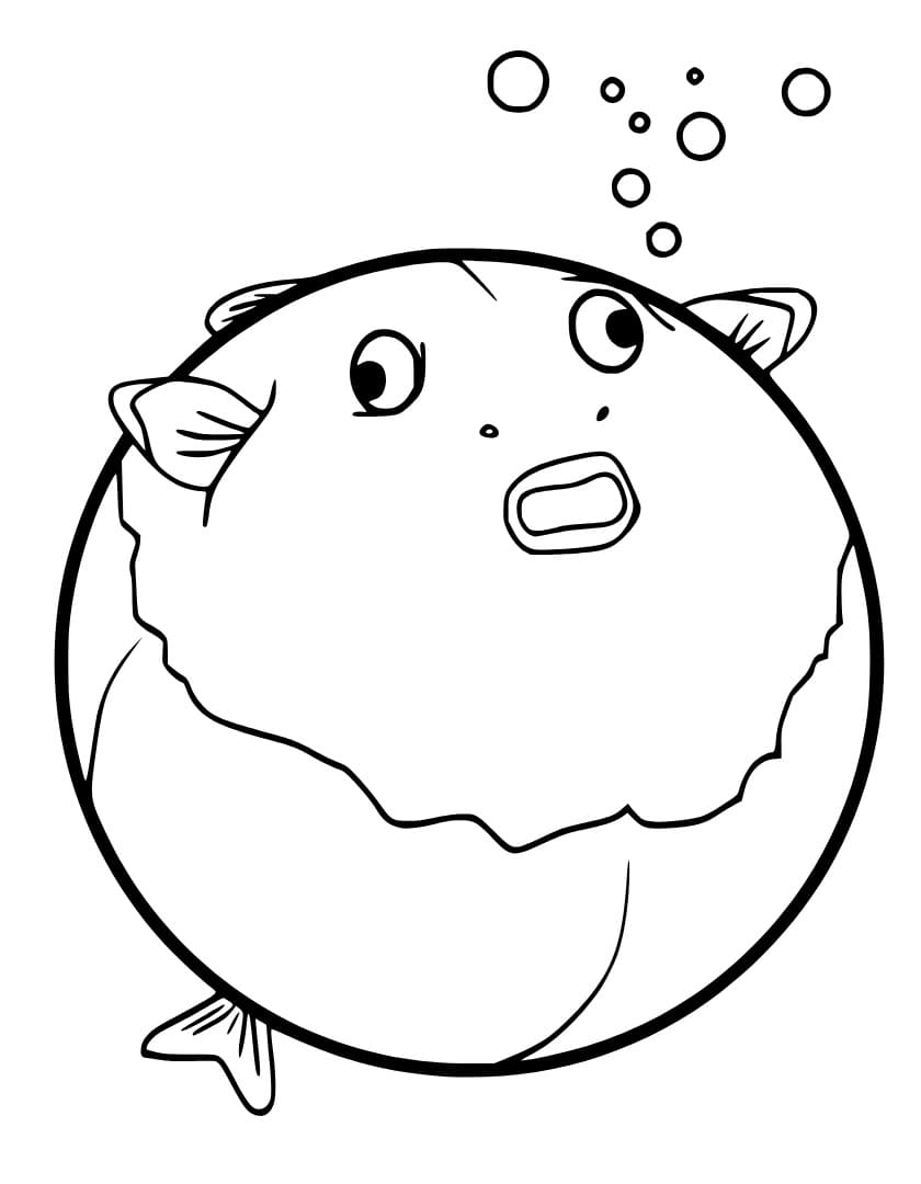 Con Cá Nóc Ngộ Nghĩnh