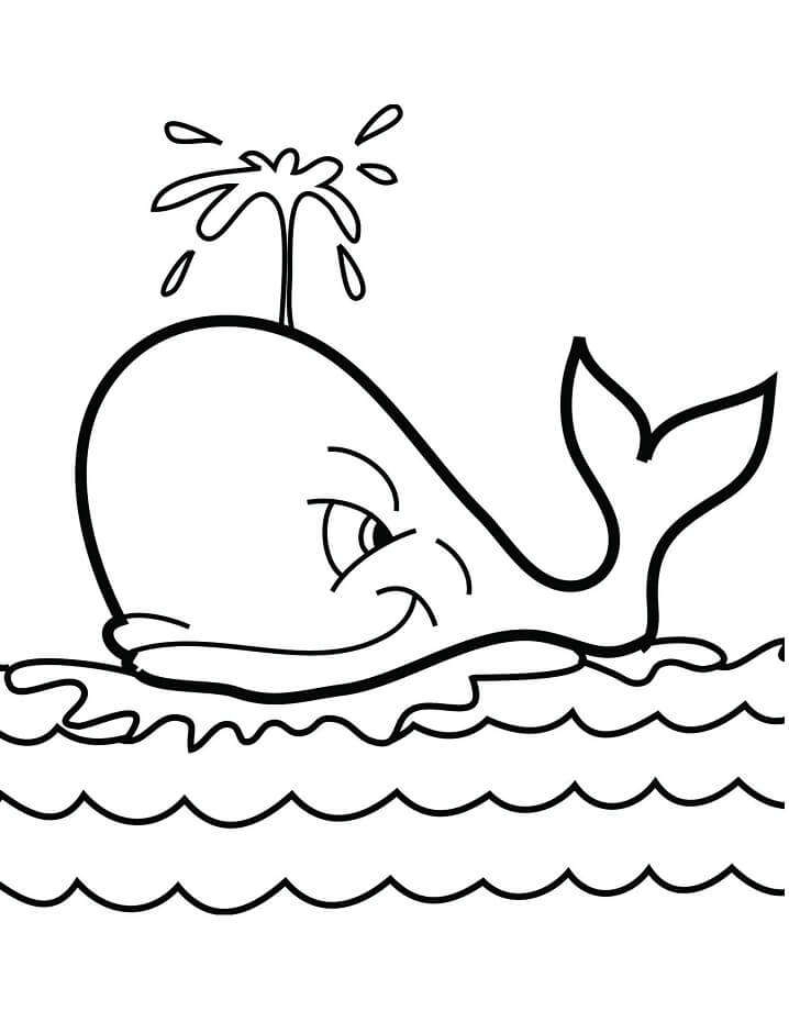 Cá Voi Cười Vui Vẻ