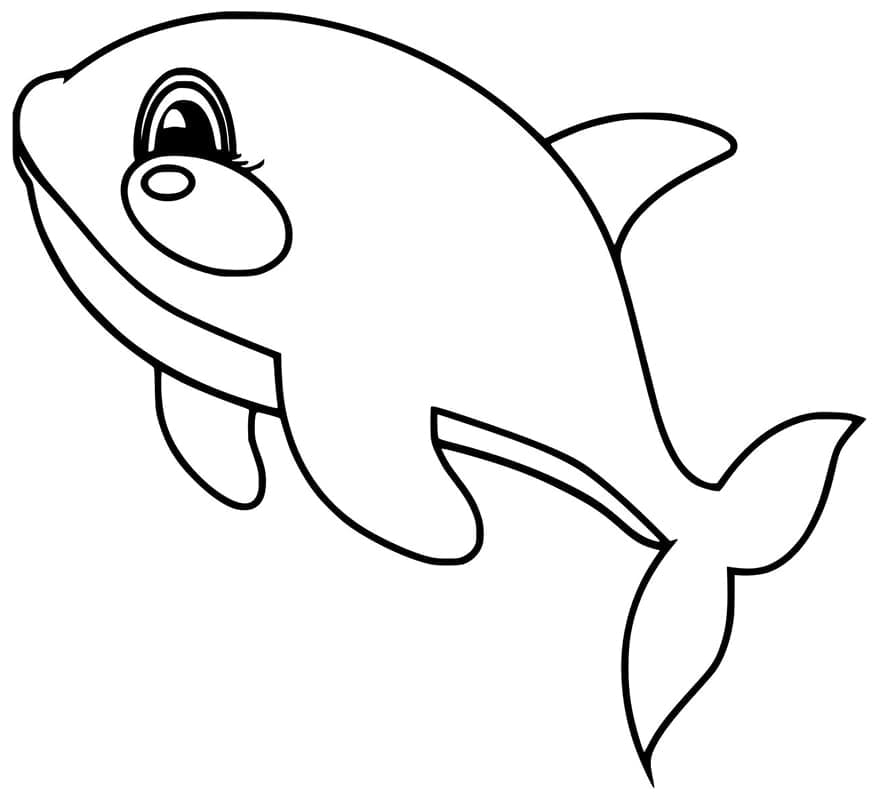 Cá Voi Sát Thủ Cute