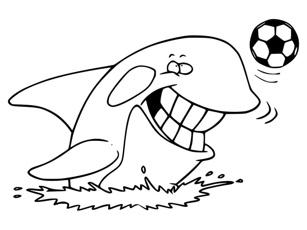 Cá Voi Sát Thủ Vui Nhộn