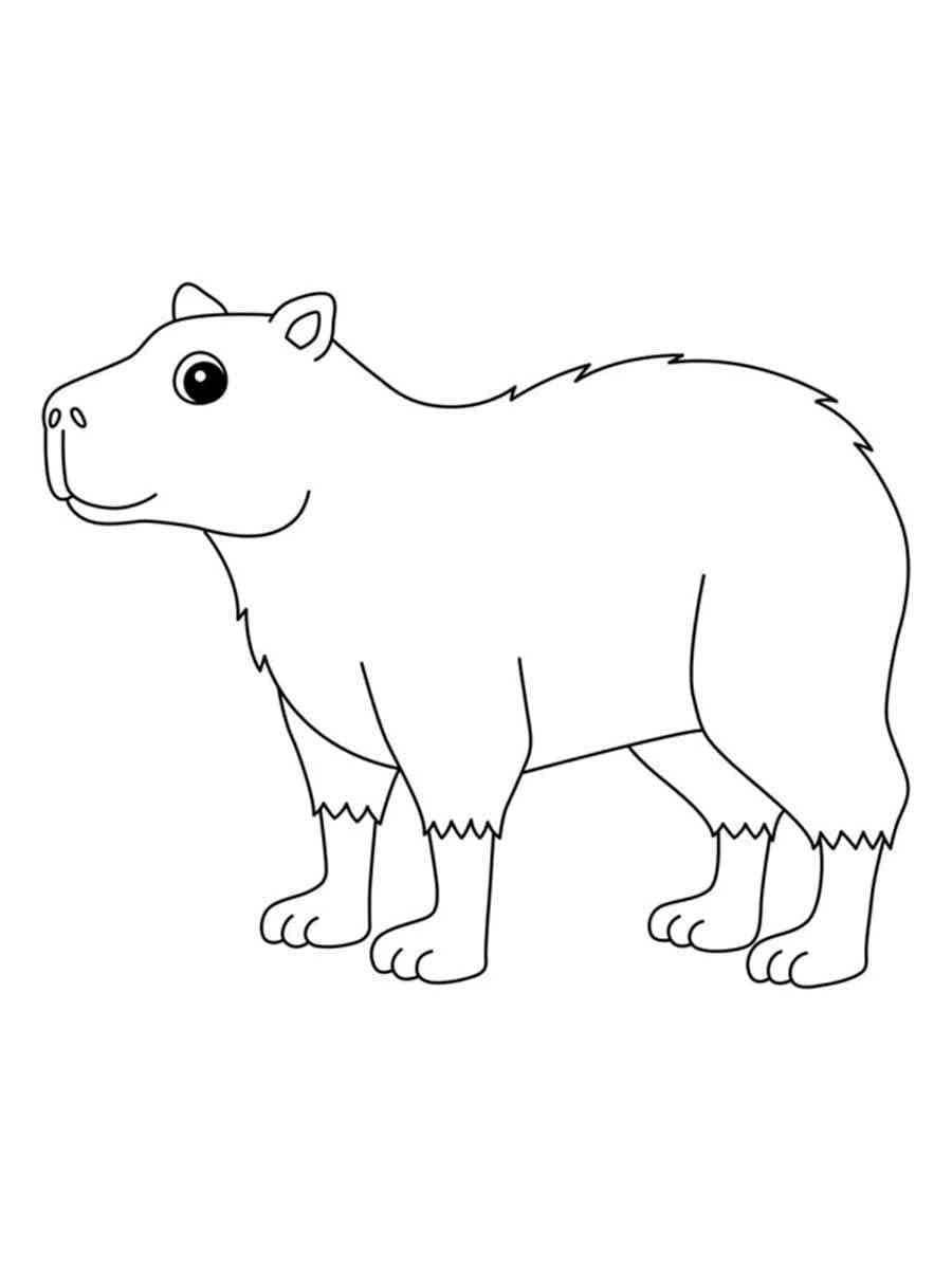 Capybara Cười