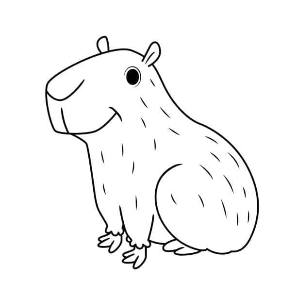 Capybara Cute Nhất