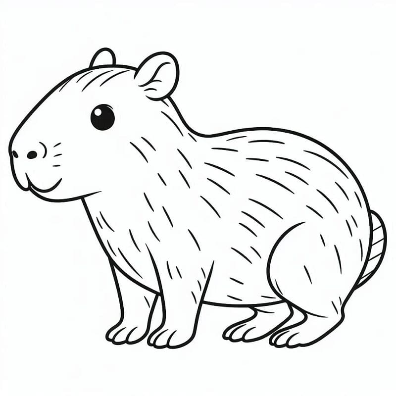 Capybara Đơn Giản Đáng Yêu