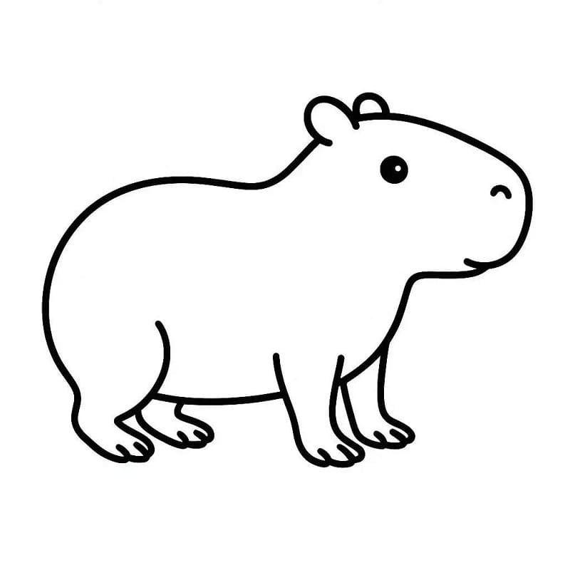 Capybara Đơn Giản