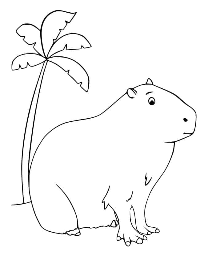 Tô Màu Capybara