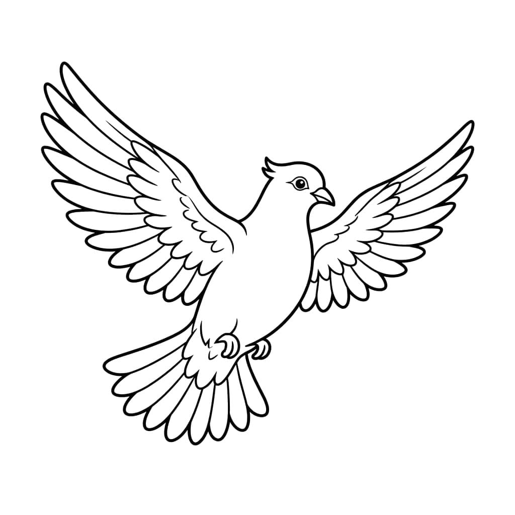 Chim Bồ Câu Dang Cánh