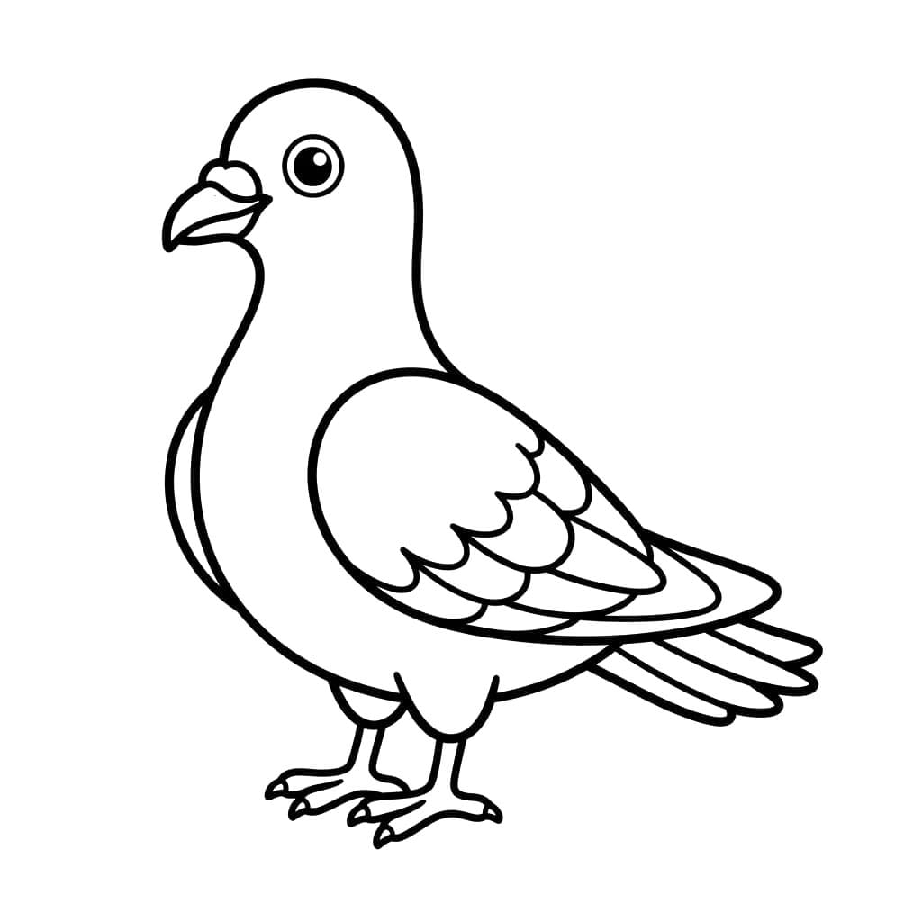 Chim Bồ Câu Hoạt Hình