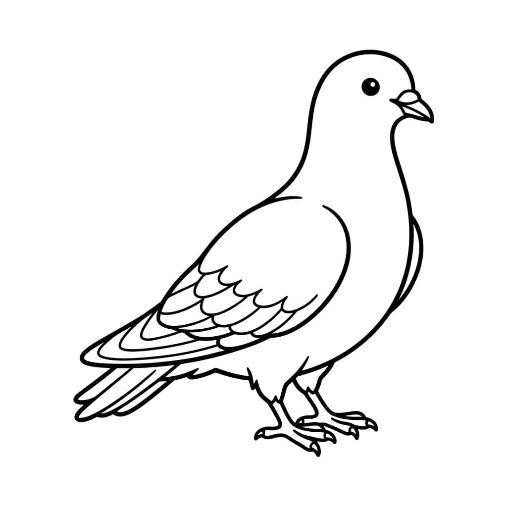 Chim Bồ Câu Nhỏ Dễ Thương