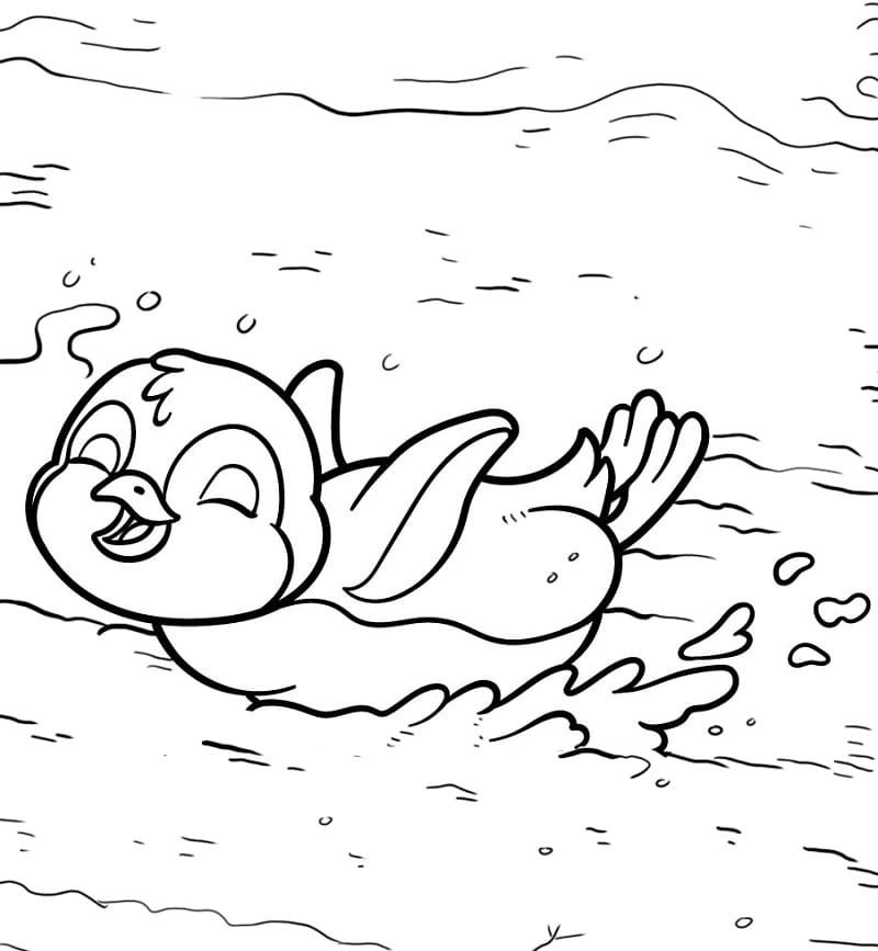 Chim Cánh Cụt Vui Chơi