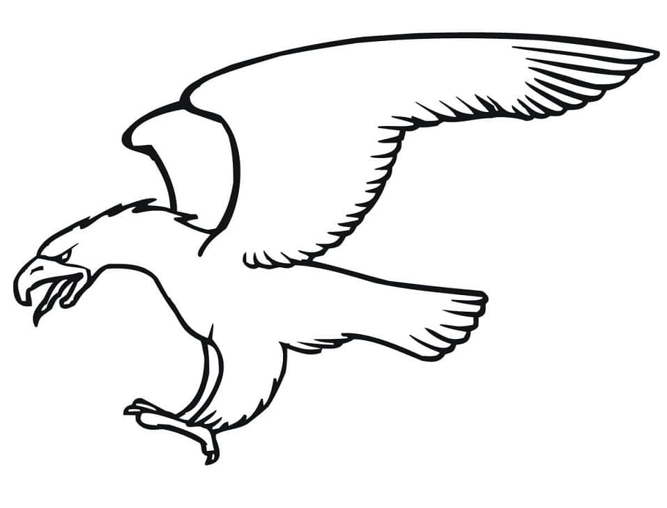 Chim Đại Bàng Cất Cánh