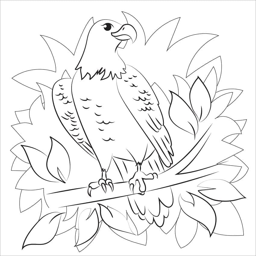 Chim Đại Bàng Dễ Thương