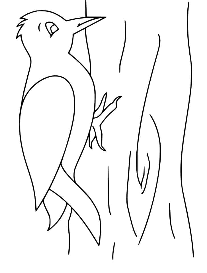 Chim Gõ Kiến Đơn Giản