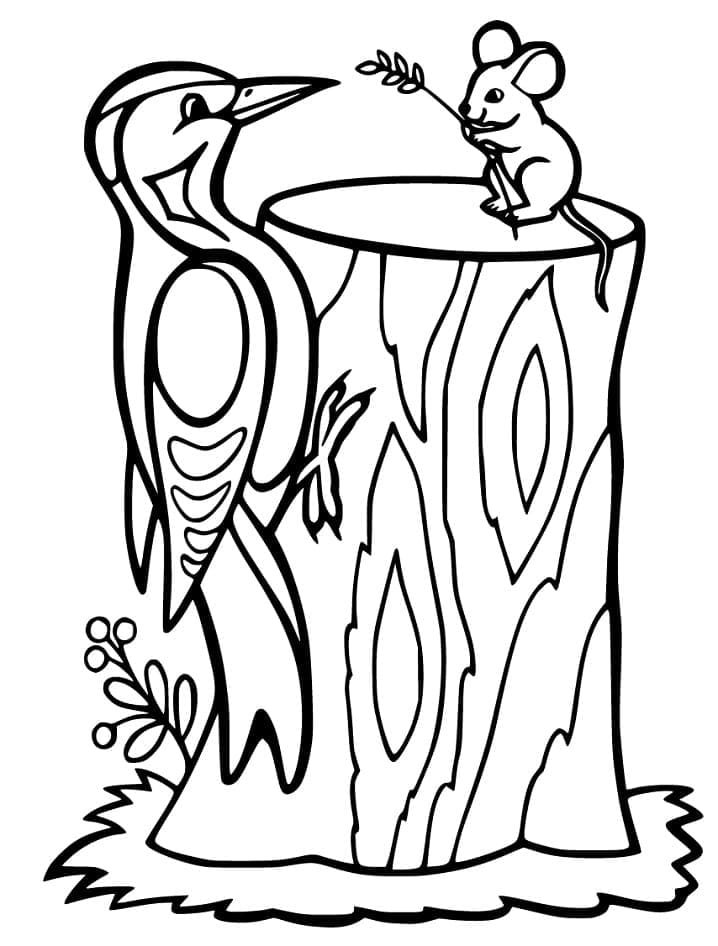 Chim Gõ Kiến và Con Chuột