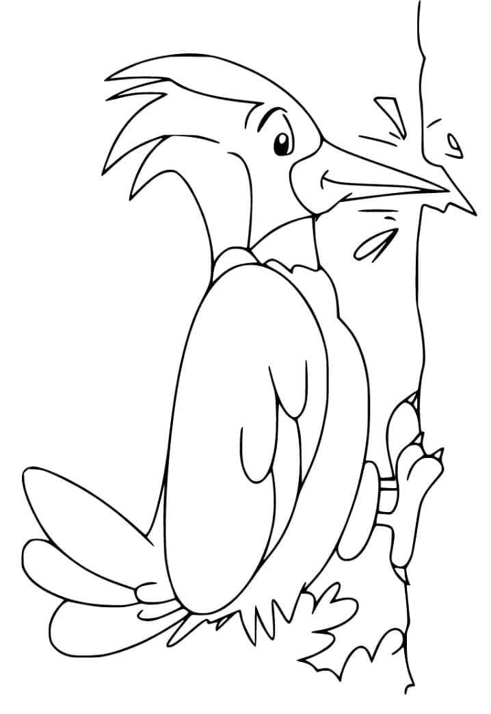 Chim Gõ Kiến Vui Nhộn