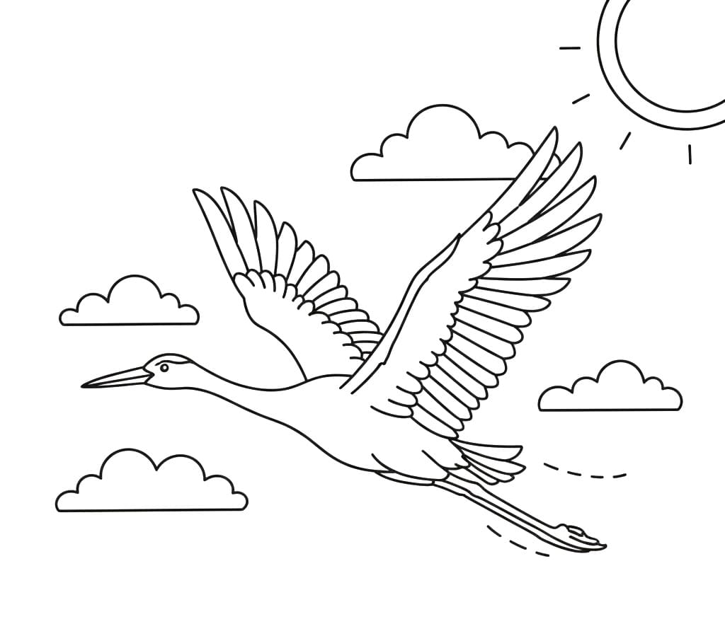 Chim Hạc Đang Bay