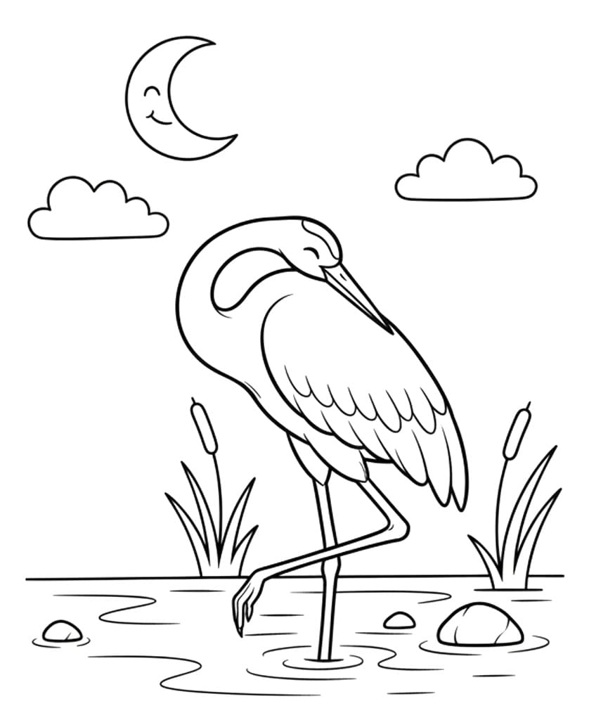 Chim Hạc Đang Ngủ