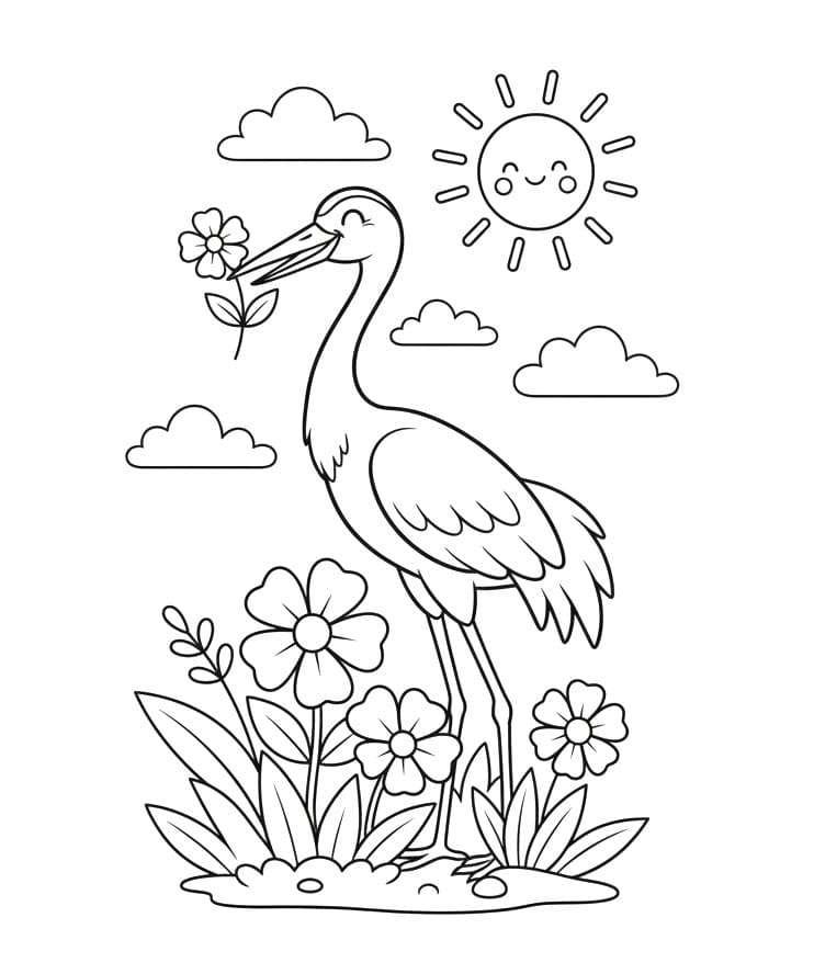 Chim Hạc Rất Đẹp