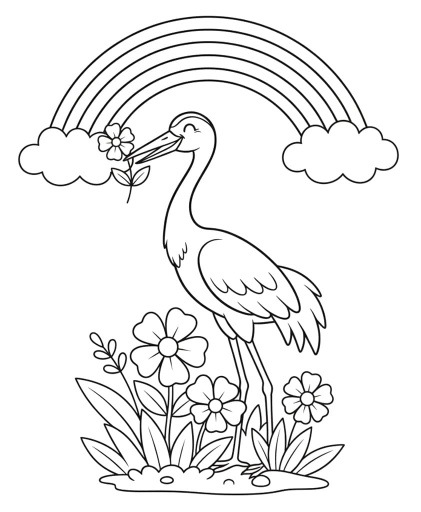 Chim Hạc Với Cầu Vồng