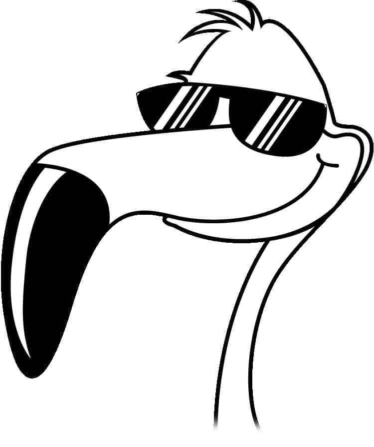 Chim Hồng Hạc Đeo Kính