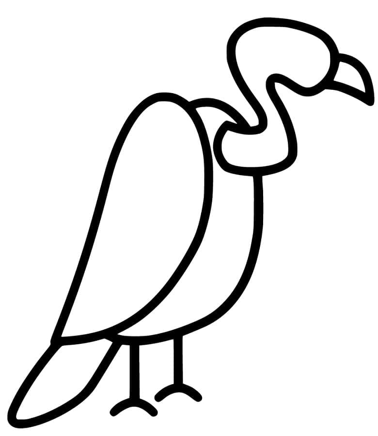 Chim Kền Kền Đơn Giản